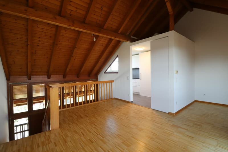 Im beliebten Freuler-Quartier - moderne Maisonette-Dachwohnung mit 2 Balkonen (3)