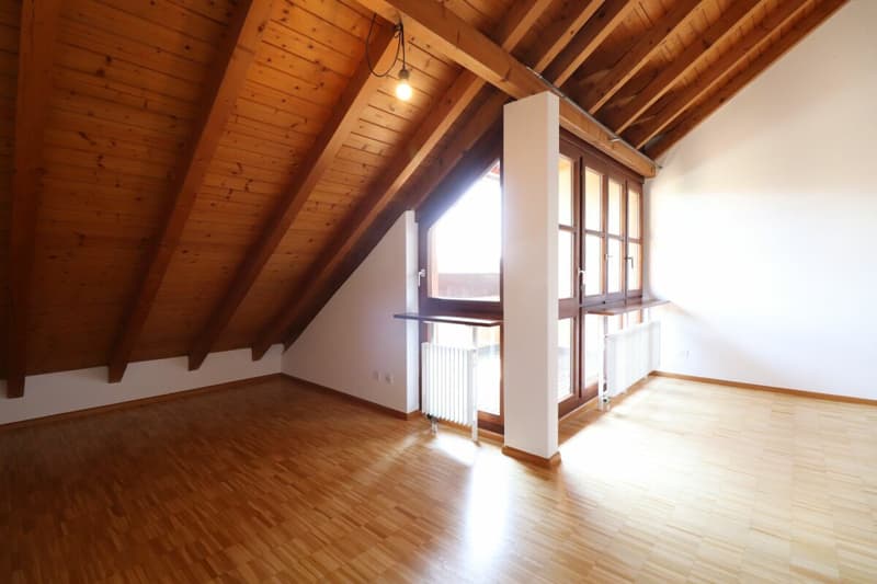 Im beliebten Freuler-Quartier - moderne Maisonette-Dachwohnung mit 2 Balkonen (7)