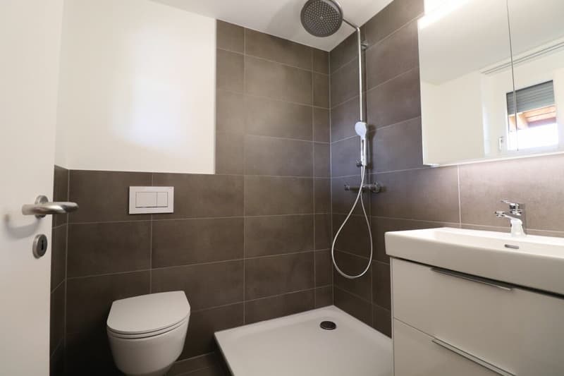 Im beliebten Freuler-Quartier - moderne Maisonette-Dachwohnung mit 2 Balkonen (9)