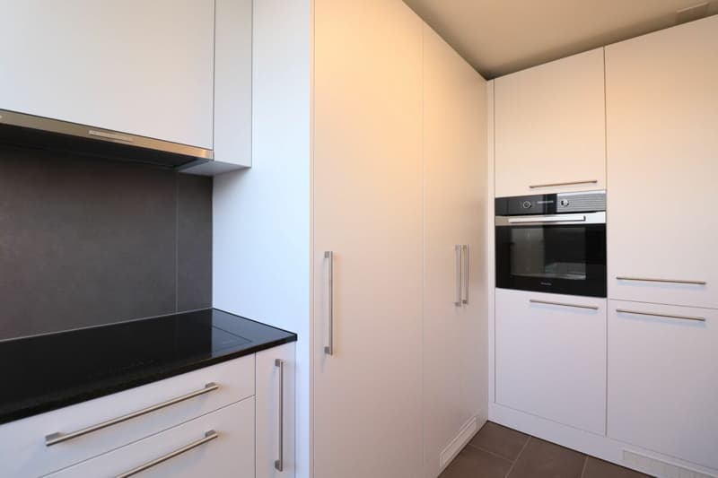 Im beliebten Freuler-Quartier - moderne Maisonette-Dachwohnung mit 2 Balkonen (6)