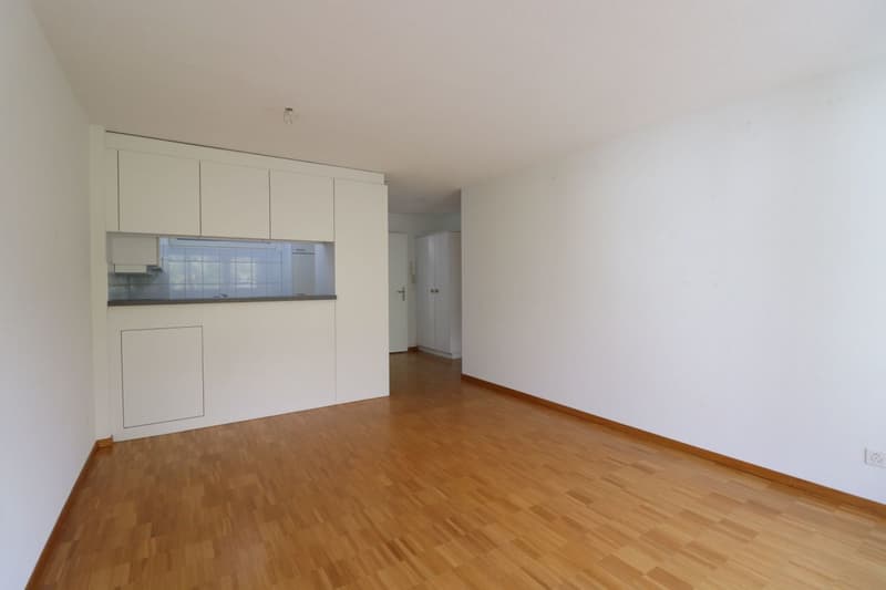Wasserwerkstrasse - schöne moderne 2 1/2 Zimmer-Wohnung im 1.OG (5)