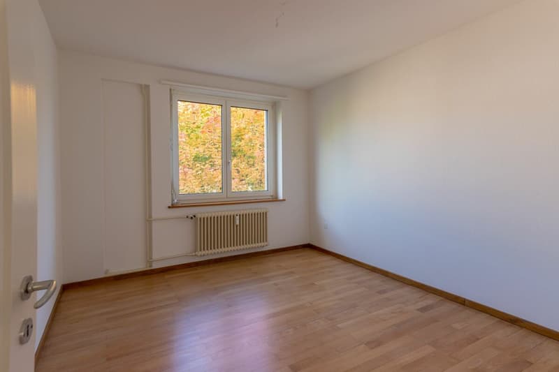 Nähe Schwarzpark und Birs - gemütliche 3-Zimmerwohnung im 3.OG (6)