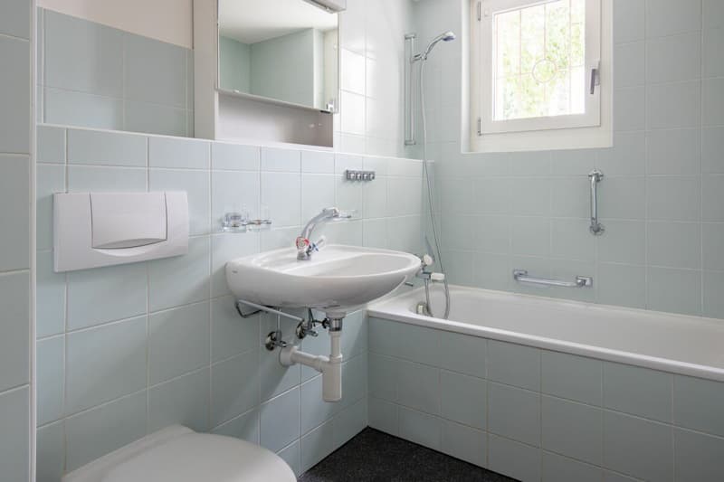 Nähe Letten Center und Allschwiler Weiher - gemütliche 3-Zimmerwohnung im Hochparterre (9)