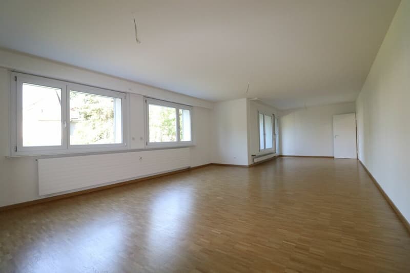 Am Lindenplatz - frisch renovierte, grosszügige 4-Zimmer-Wohnung im 1.OG (3)
