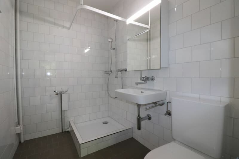 Am Lindenplatz - frisch renovierte, grosszügige 4-Zimmer-Wohnung im 1.OG (9)