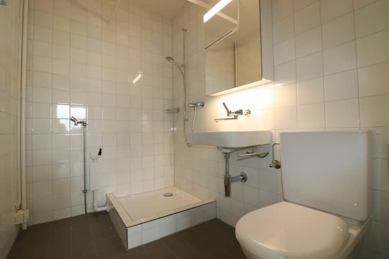 Am Lindenplatz - frisch renovierte, grosszügige 4-Zimmer-Wohnung im 1.OG (9)