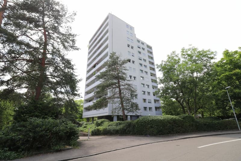 Am Lindenplatz - frisch renovierte, grosszügige 4-Zimmer-Wohnung im 1.OG (1)