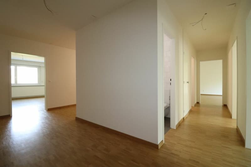 Am Lindenplatz - frisch renovierte, grosszügige 4-Zimmer-Wohnung im 1.OG (2)