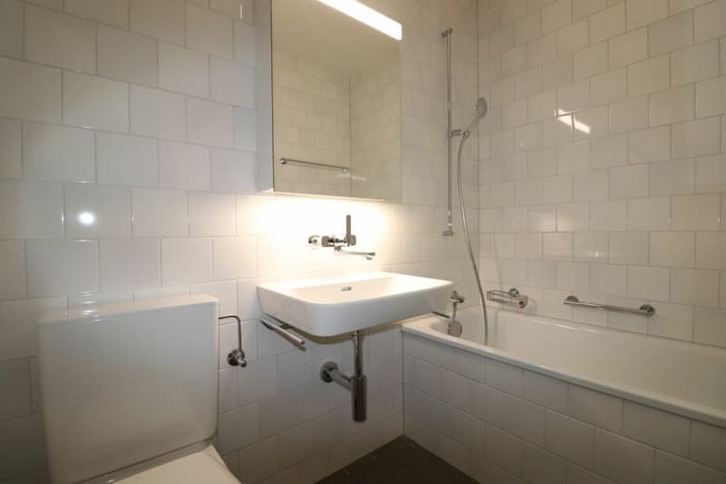 Am Lindenplatz - renovierte 2.5-Zimmer-Wohnung zu vermieten (6)