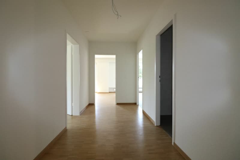 Am Lindenplatz - renovierte 2.5-Zimmer-Wohnung zu vermieten (7)