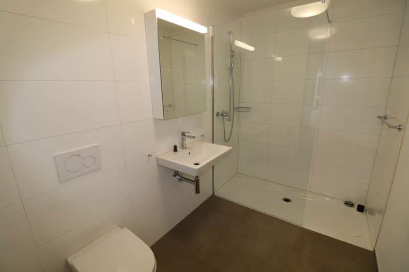 Xaver-Areal, Binningen - moderne 3 1/2-Zimmerwohnung zu vermieten (10)