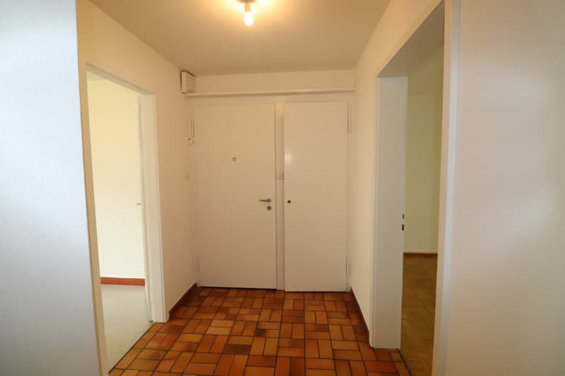 Nähe Letten-Center und Ziegelei - 3-Zimmerwohnung im 1.OG in Allschwil zu vermieten (3)