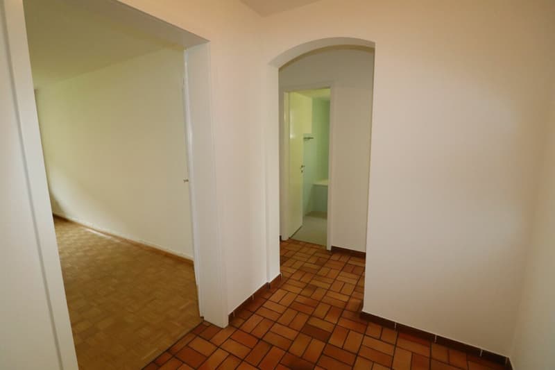 Nähe Letten-Center und Ziegelei - 3-Zimmerwohnung im 1.OG in Allschwil zu vermieten (4)