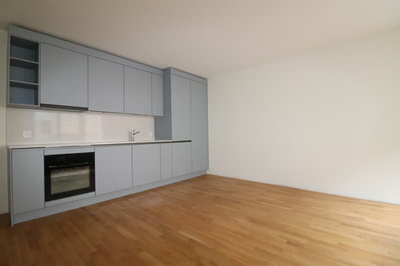 Erstvermietung nach Neuausbau - 2 ½-Zimmer-Wohnung im Gundeli (nähe Bahnhof SBB) (2)