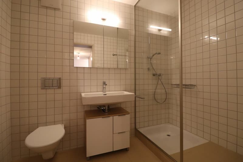 Wohnhighlight Sempacherhof - moderne 4 ½-Zimmerwohnung im 1.Obergeschoss (10)