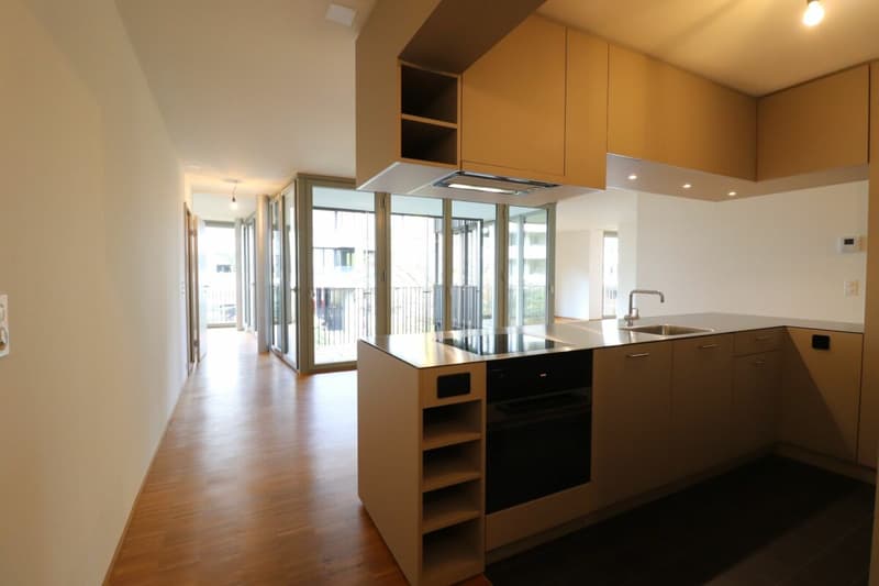 Wohnhighlight Sempacherhof - moderne 4 ½-Zimmerwohnung im 1.Obergeschoss (3)