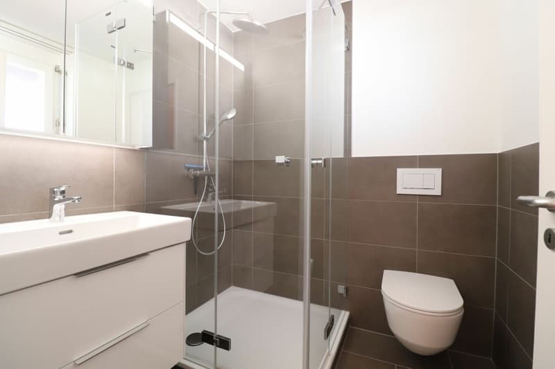 Im beliebten Freuler-Quartier - moderne Maisonette-Dachwohnung mit 2 Balkonen (5)