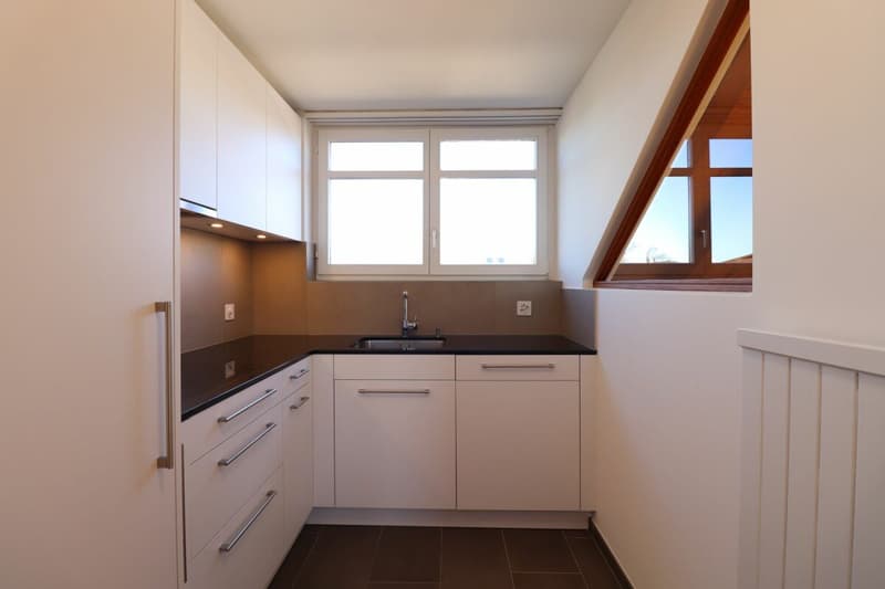 Im beliebten Freuler-Quartier - moderne Maisonette-Dachwohnung mit 2 Balkonen (7)