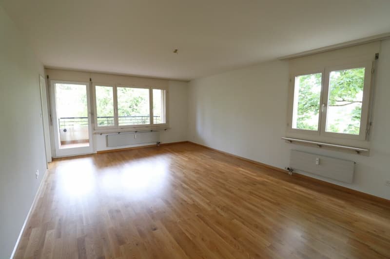 Nähe Morgartenring und Schützenmattpark - Gemütliche 3 1/2 Zimmer-Wohnung in Allschwil (6)