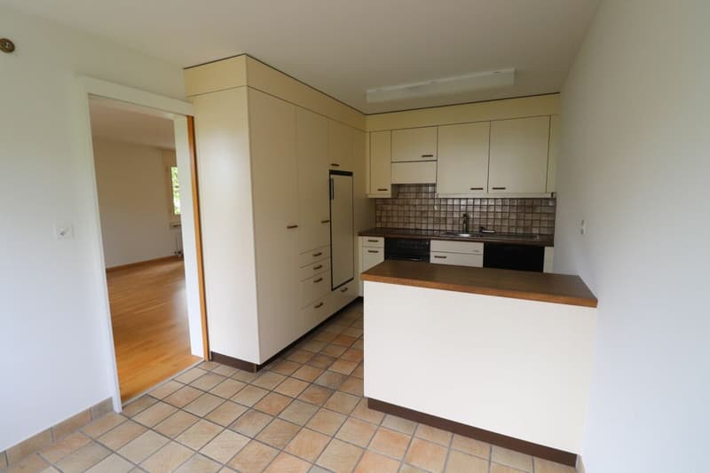 Nähe Morgartenring und Schützenmattpark - Gemütliche 3 1/2 Zimmer-Wohnung in Allschwil (3)