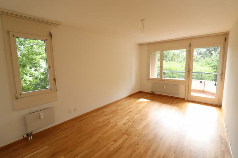 Nähe Morgartenring und Schützenmattpark - Gemütliche 3 1/2 Zimmer-Wohnung in Allschwil (4)