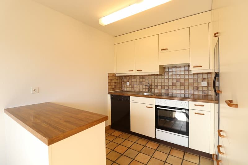 Nähe Morgartenring und Schützenmattpark - Gemütliche 3 1/2 Zimmer-Wohnung in Allschwil (2)