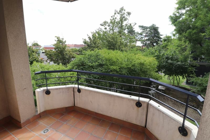 Nähe Morgartenring und Schützenmattpark - Gemütliche 3 1/2 Zimmer-Wohnung in Allschwil (5)