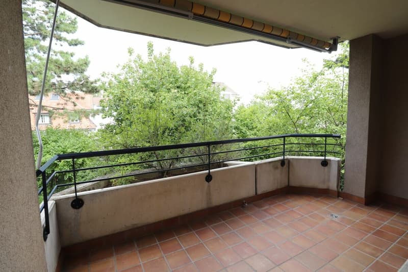 Nähe Morgartenring und Schützenmattpark - Gemütliche 3 1/2 Zimmer-Wohnung in Allschwil (7)