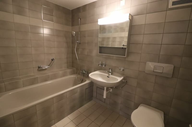 Nähe Morgartenring und Schützenmattpark - Gemütliche 3 1/2 Zimmer-Wohnung in Allschwil (9)