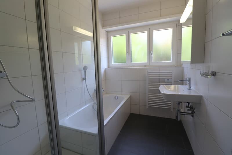 Zwischen Wasserturm Bruderholz und Bahnhof SBB - schöne 3-Zimmerwohnung auf dem Bruderholz (ideal für Singles oder Paare) (10)