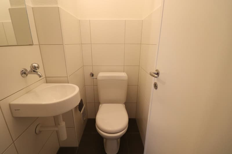 Zwischen Wasserturm Bruderholz und Bahnhof SBB - schöne 3-Zimmerwohnung auf dem Bruderholz (ideal für Singles oder Paare) (9)