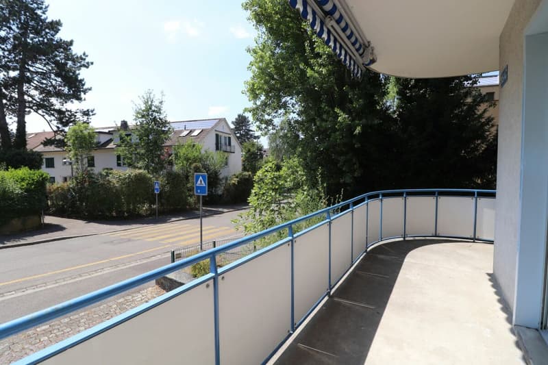 Zwischen Wasserturm Bruderholz und Bahnhof SBB - schöne 3-Zimmerwohnung auf dem Bruderholz (ideal für Singles oder Paare) (6)