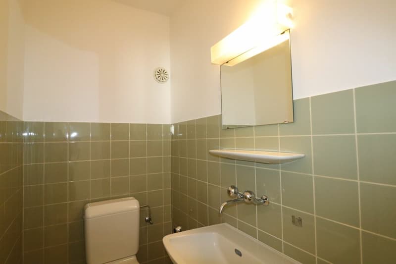 Nähe Rauracherzentrum in Riehen - grosszügige 4 ½-Zimmerwohnung im 2.OG (12)
