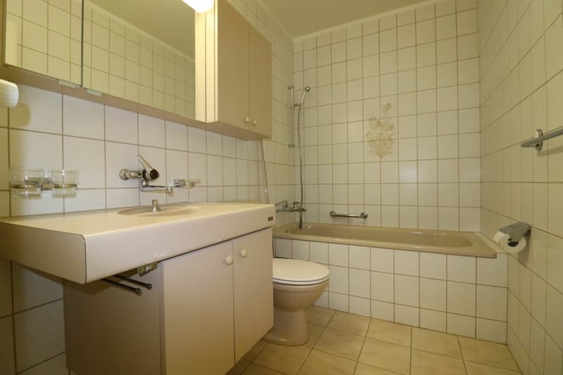 Schöne 2-Zimmer-Wohnung mit tollem Ausblick zu vermieten (9)