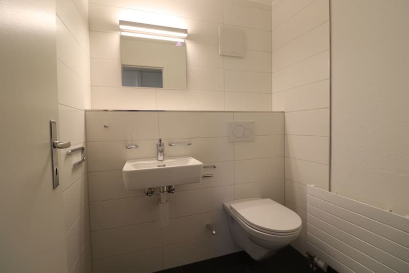 Kornackerstrasse, Frenkendorf - gemütliche und moderne Dachwohnung im 4.OG (9)