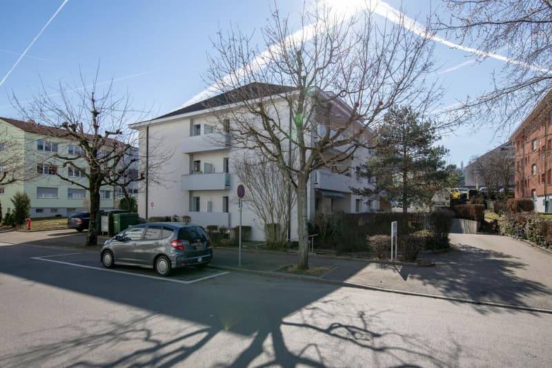 Zwischen Römerwiese und Bahnhof Muttenz - gemütliche 3-Zimmerwohnung im EG (1)