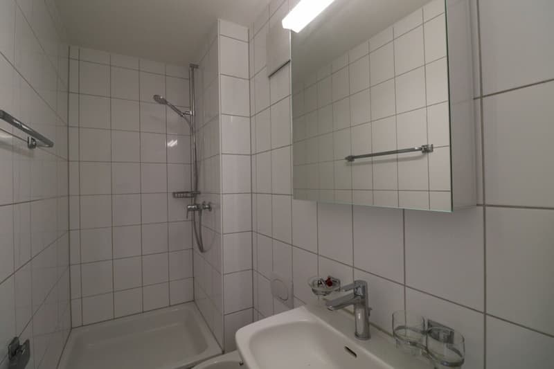 Wohnen in Riehen - grosszügige 3 1/2- Zimmerwohnung mit zusätzlichem Mansardenzimmer in ruhiger Quartierstrasse (8)