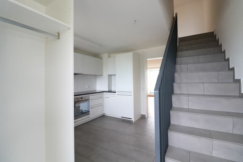 Nähe Mischelicenter- moderne 3 1/2 Zimmer-Maisonettewohnung in Reinach (5)