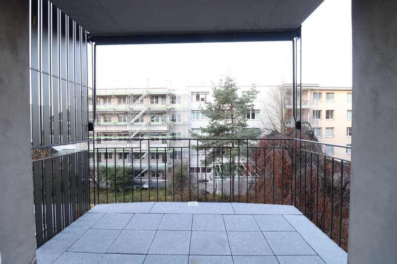 Nähe Weil am Rhein - moderne 4 ½-Zimmerwohnung im 2.OG (ideal für 1-2 Personen) (8)