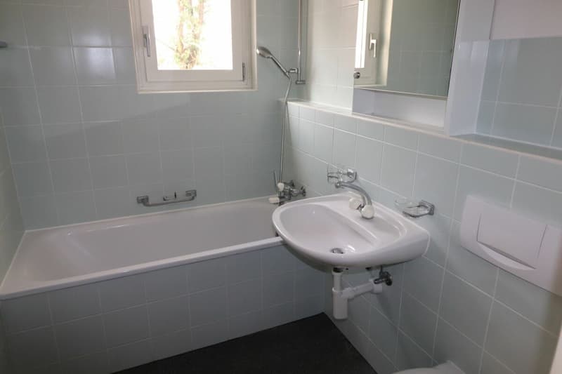 Zwischen Gemeindepark Allschwil und Letten Center - gemütliche 2-Zimmerwohnung (6)