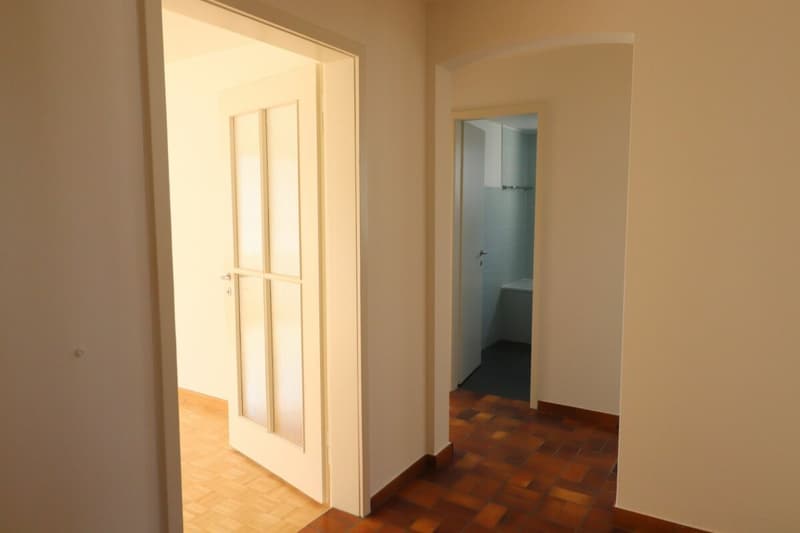 Zwischen Gemeindepark Allschwil und Letten Center - gemütliche 2-Zimmerwohnung (3)