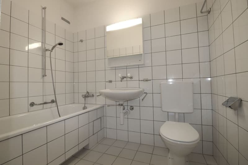 Nähe Badischer Bahnhof, schöne 2 1/2 Zimmer-Wohnung zu vermieten (7)