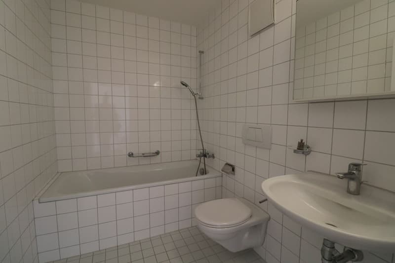 Zwischen Dreirosenbrücke und Musical Theater - gemütliche 3-Zimmerwohnung in Kleinbasel zu vermieten (11)
