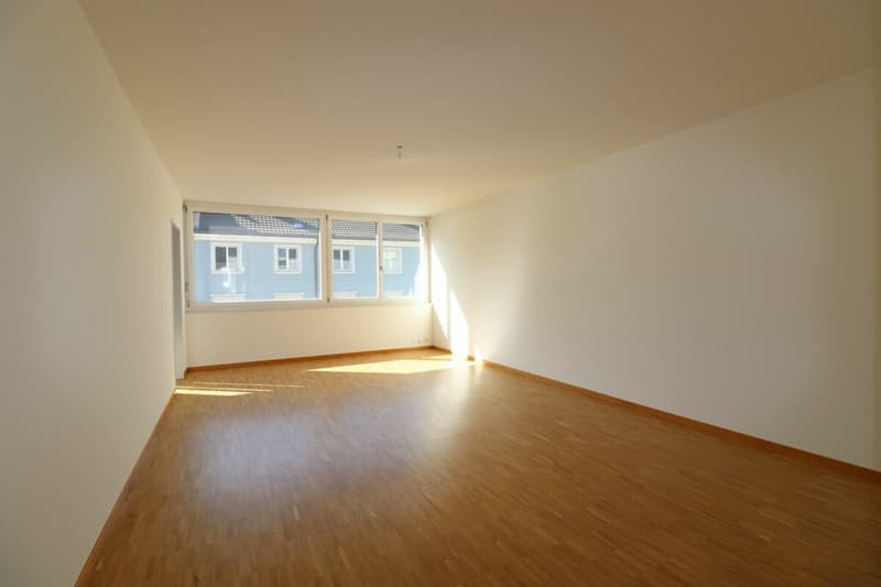Zwischen Dreirosenbrücke und Musical Theater - gemütliche 3-Zimmerwohnung in Kleinbasel zu vermieten (8)