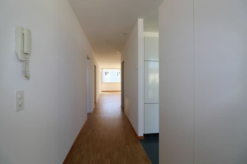 Zwischen Dreirosenbrücke und Musical Theater - gemütliche 3-Zimmerwohnung in Kleinbasel zu vermieten (3)