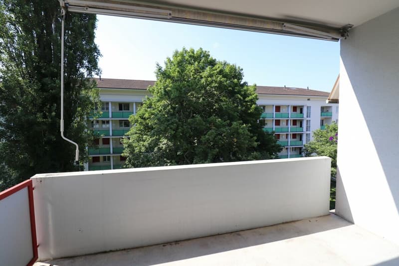 Nähe Kannenfeldpark - schöne 3 1/2-Zimmerwohnung in ruhiger Seitenstrasse zu vermieten (9)