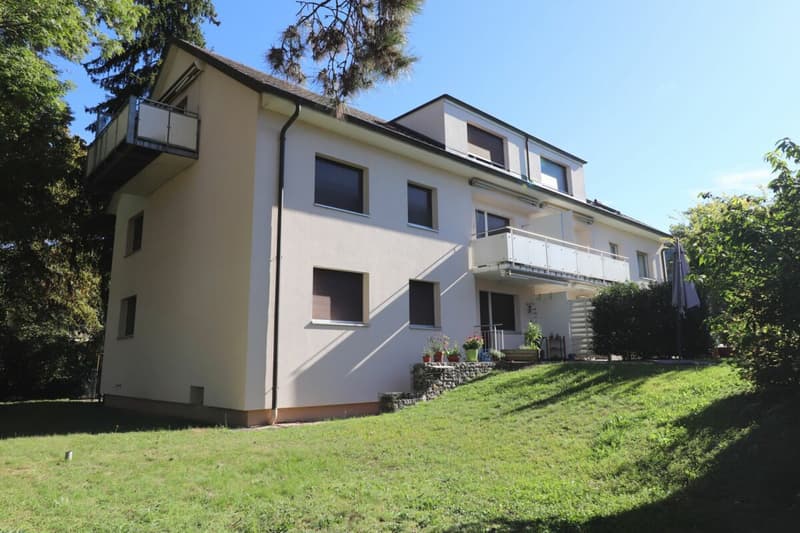 Nähe Wenkenpark an ruhiger Lage - gemütliche 4-Zimmerwohnung mit Gartensitzplatz (1)