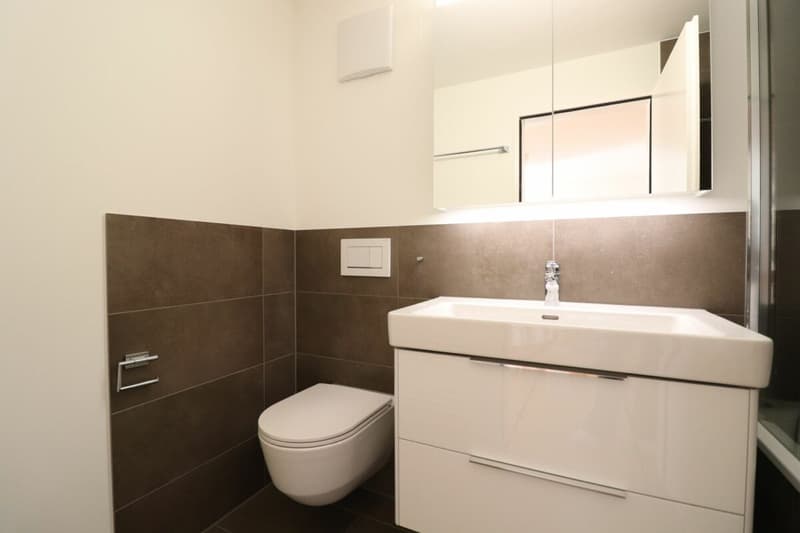 Im Freulerquartier - moderne 4 1/2-Zimmer-Maisonettewohnung (11)