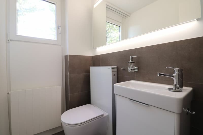 Im Freulerquartier - moderne 4 1/2-Zimmer-Maisonettewohnung (5)