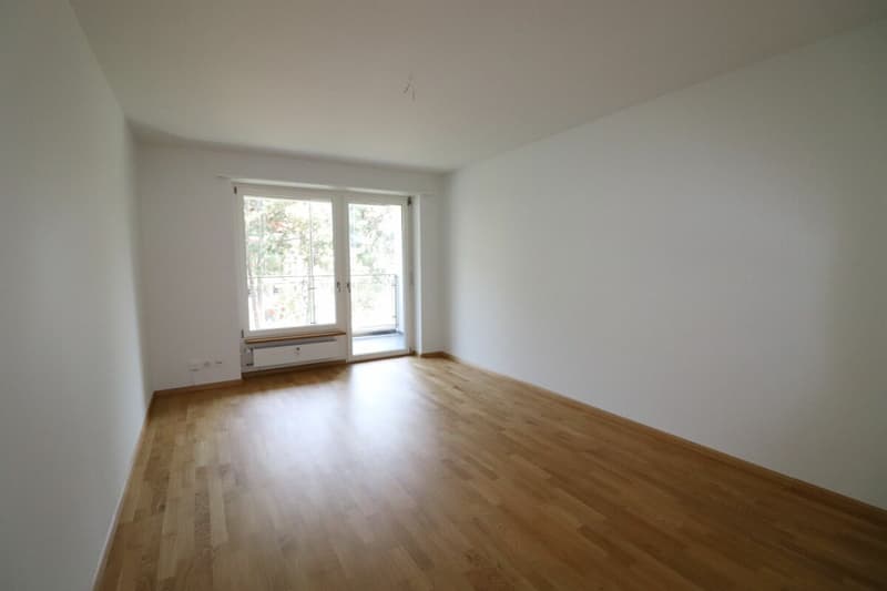 Zwischen Novartis Campus und Kannenfeldpark - moderne 3-Zimmerwohnung in Basel zu vermieten (5)